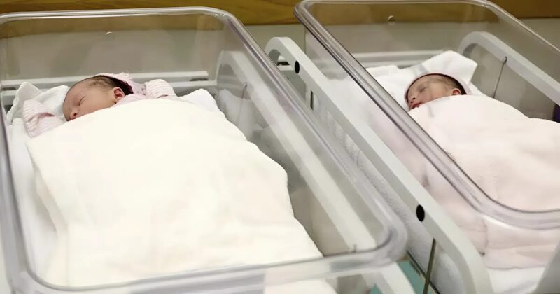 באתי לקחת את אשתי ואת התאומים שלנו מבית היולדות — היא נעלמה, ונשאר רק פתק